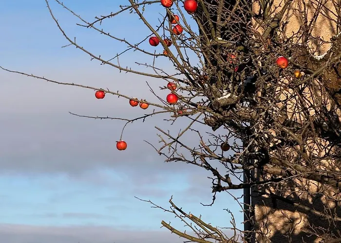 Am Schloss Wolkenstein, 86m2, 3br, Babybett, Office شقة فولكنشتاين